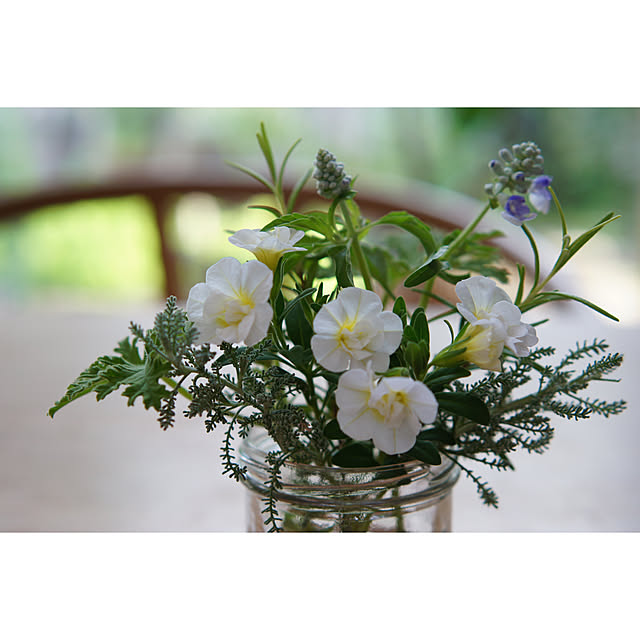 noriflowerさんの部屋