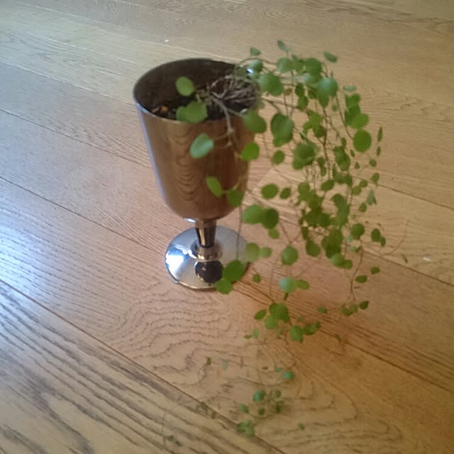 kuromineさんの実例写真