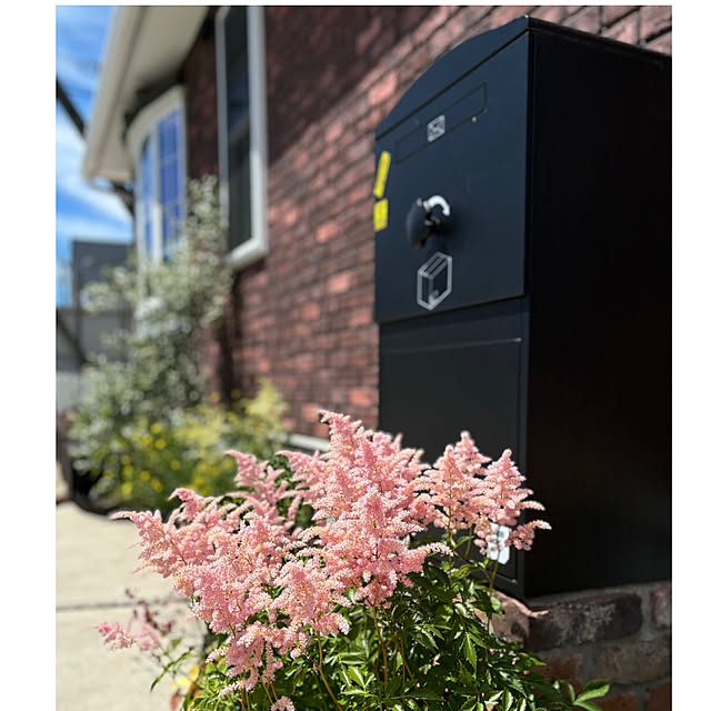 usagiさんのお部屋の写真