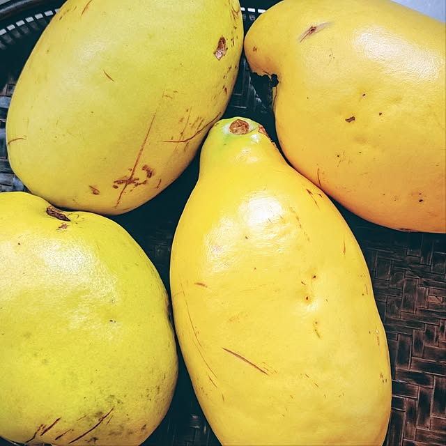 waniwaniさんの部屋