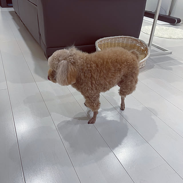 chikaさんの実例写真