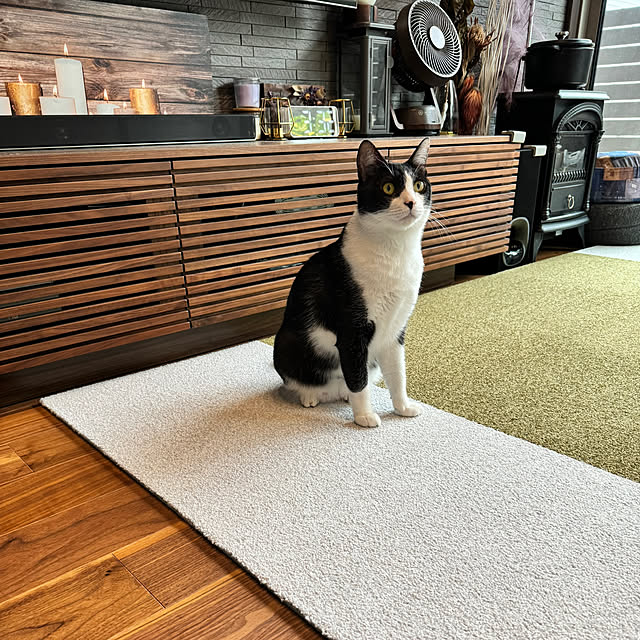 porinさんの部屋
