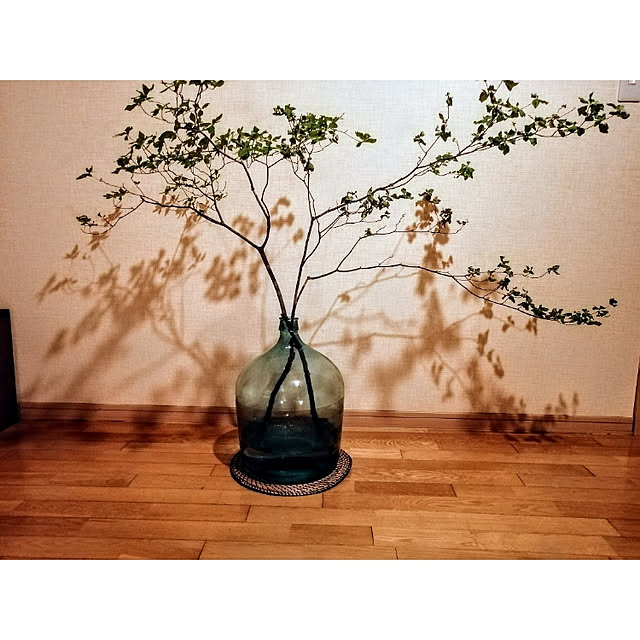 honoさんの実例写真