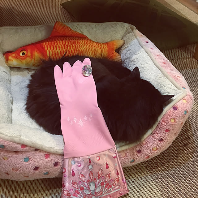 kanaさんの実例写真