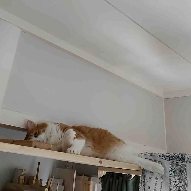mori_6_12さんの実例写真