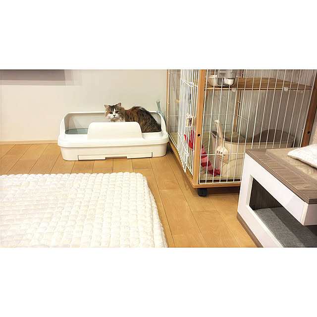 darakoさんの実例写真