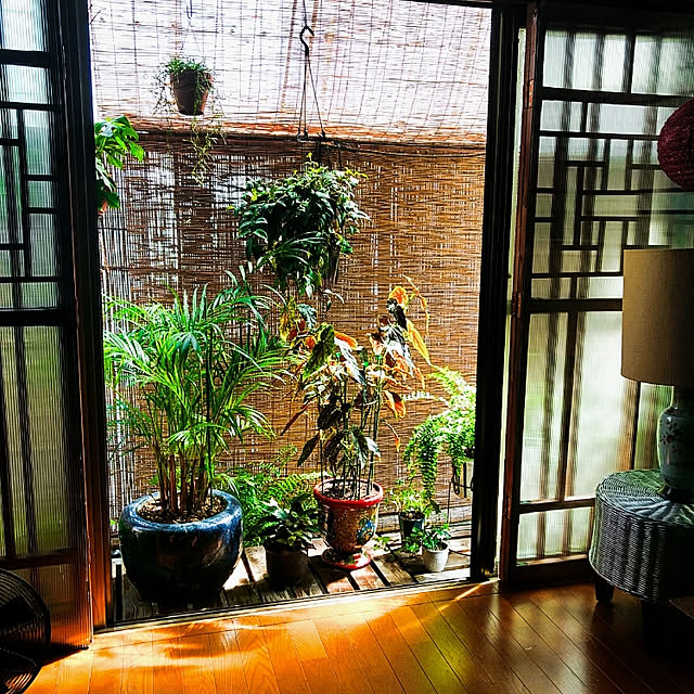nikkoriさんの実例写真