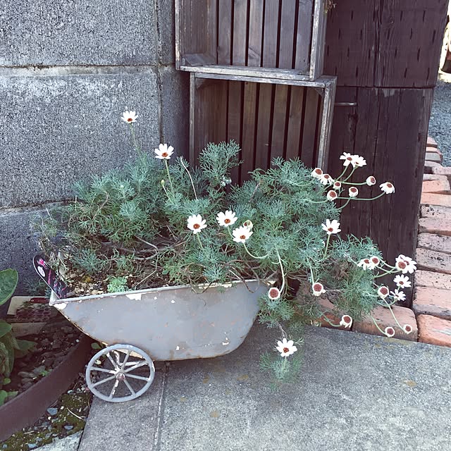nidoneさんの実例写真