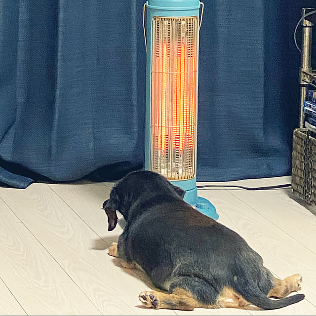 ohanaさんの実例写真