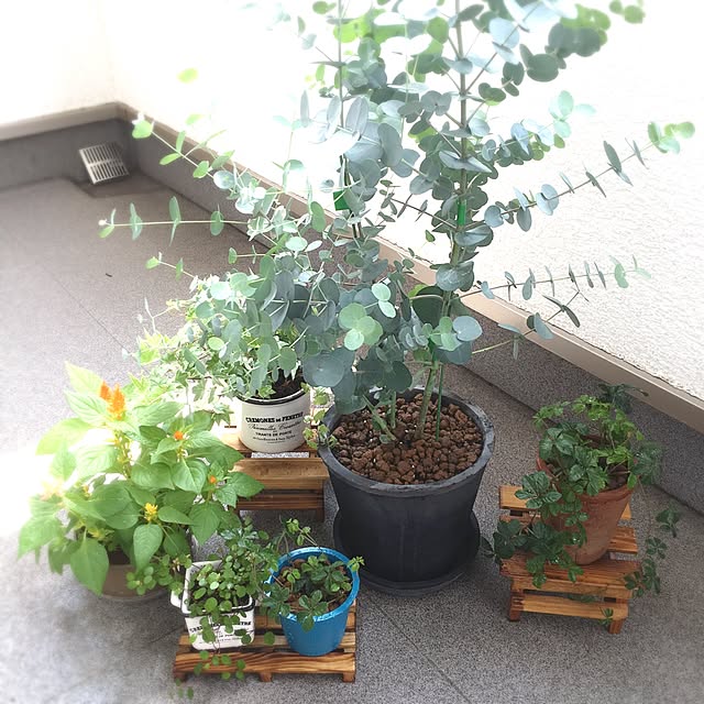mi-coさんの実例写真
