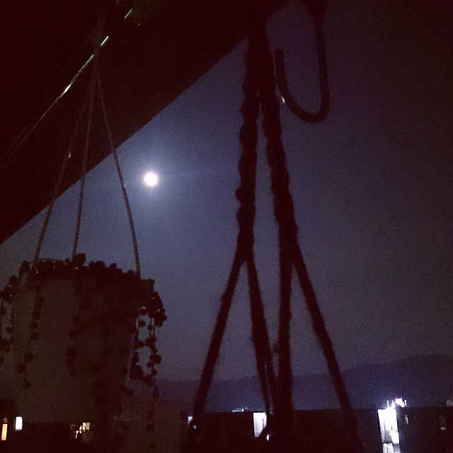 miporin0711さんの実例写真