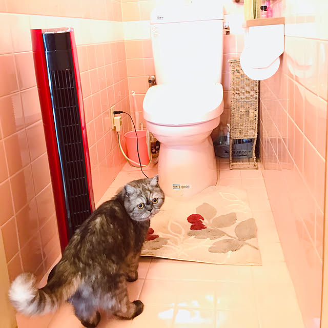 Marinさんの実例写真