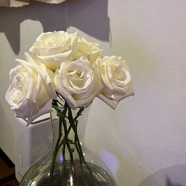Michikoさんの実例写真