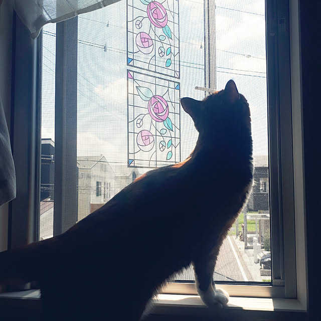 aiさんの実例写真