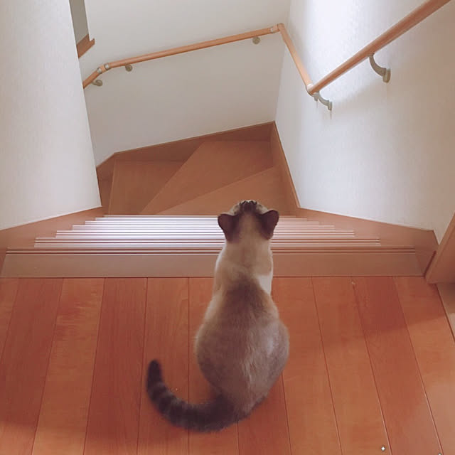 mckさんの実例写真