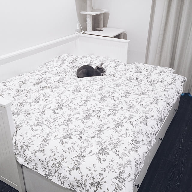 ar._.roomさんの実例写真