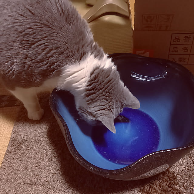 rhuさんの実例写真