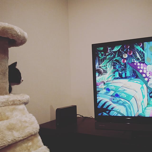 chobicoさんの実例写真