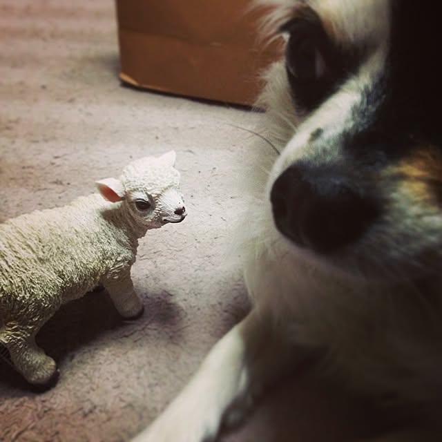 runさんの実例写真