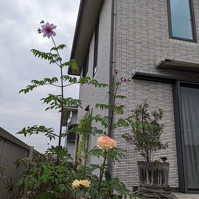 chiz3さんの部屋
