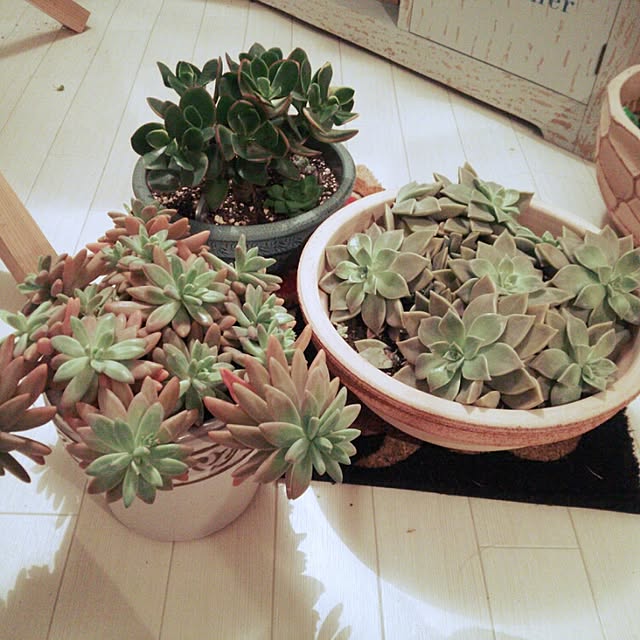k.namiさんの実例写真