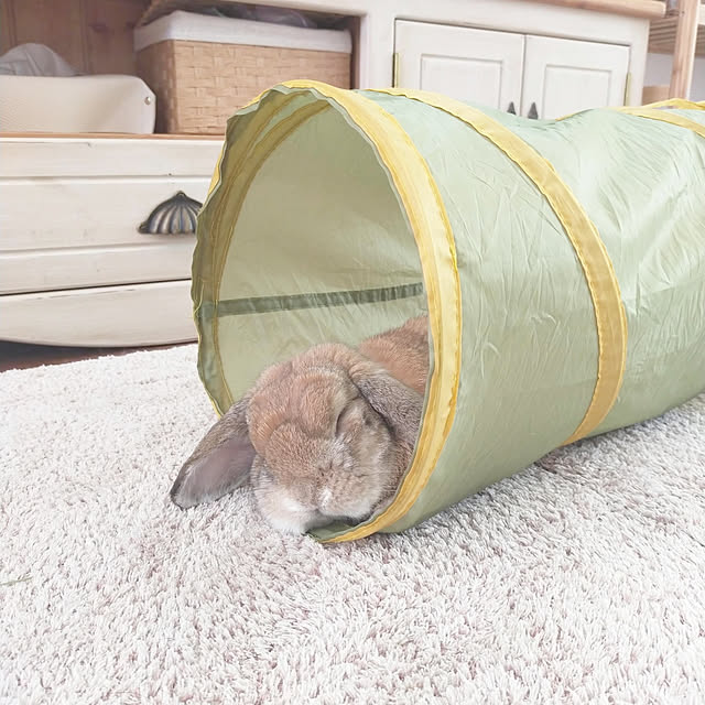 suzuさんの実例写真