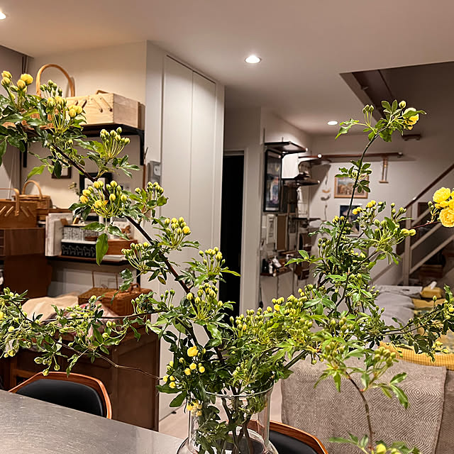 kojimasaさんの部屋