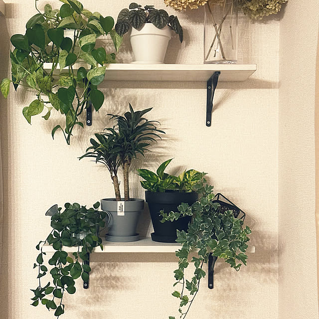 Ayumiさんの実例写真