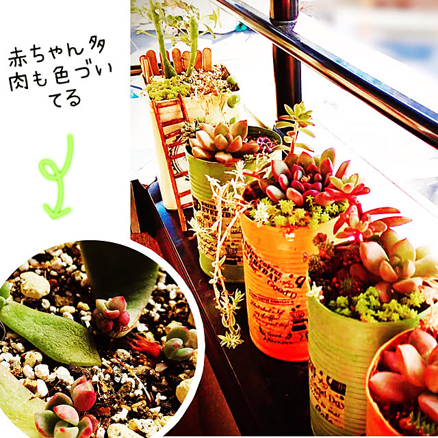 NAOさんの実例写真