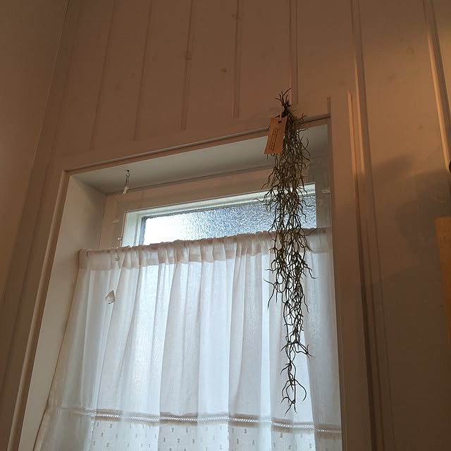 yukkoさんの実例写真