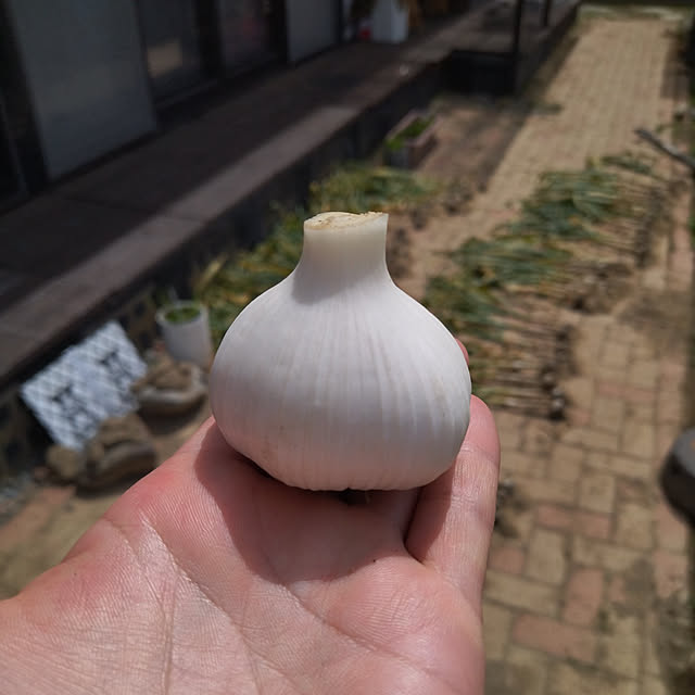 moccyan555さんの実例写真