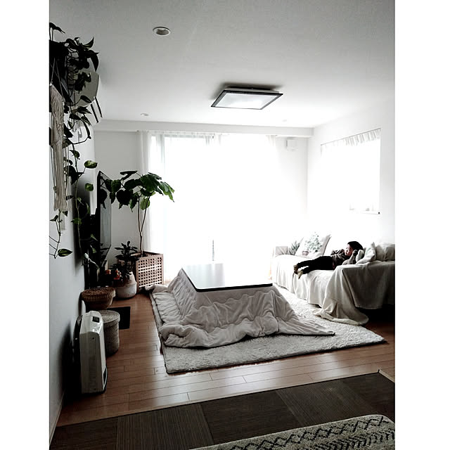 kodaminさんの実例写真