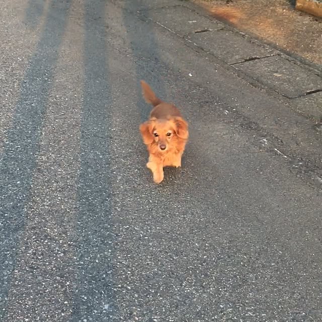 sakuさんの実例写真