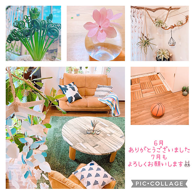Llatte-usaさんの実例写真