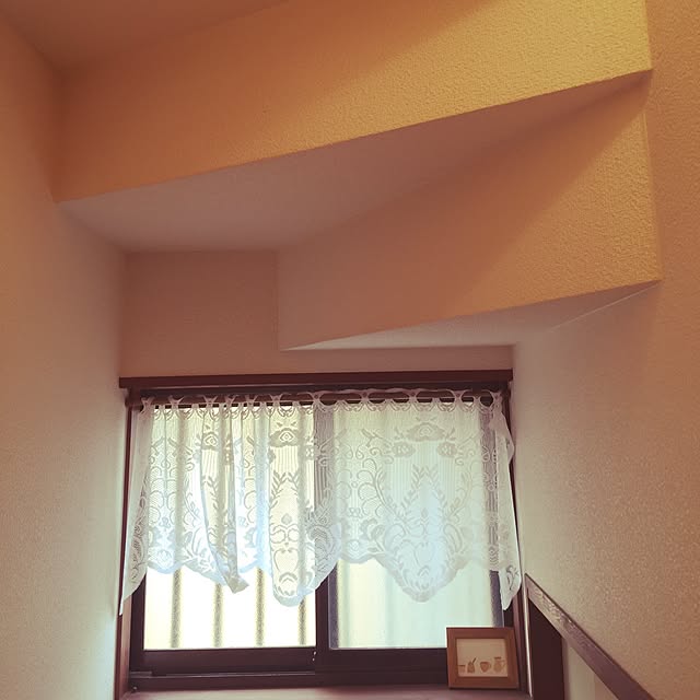 otukaresanさんの実例写真