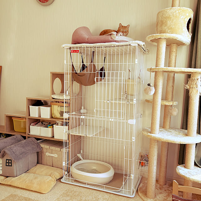 Maiさんの実例写真