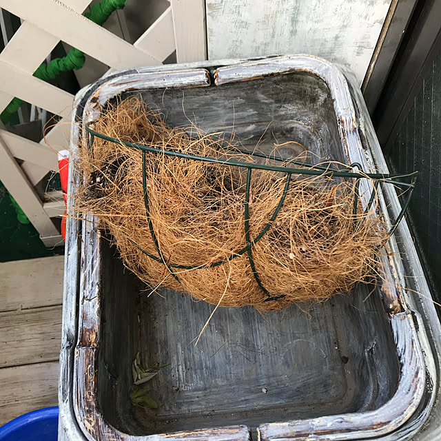 coconyantaさんの実例写真