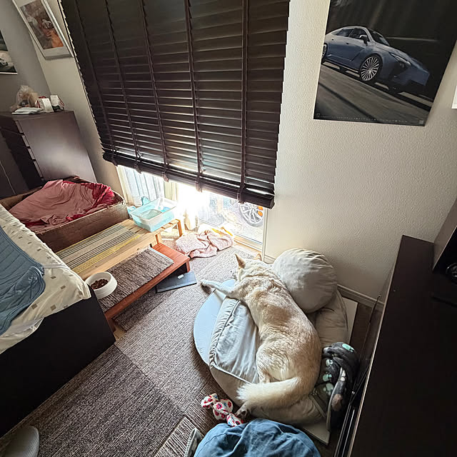 tanboさんの実例写真