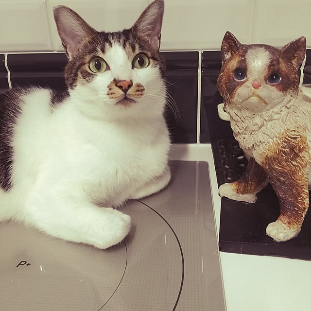 yuchiさんの実例写真