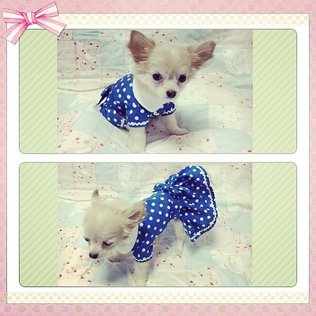 candy_Bonbonさんの実例写真