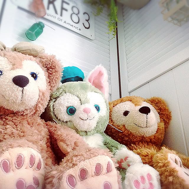 ayaさんの実例写真