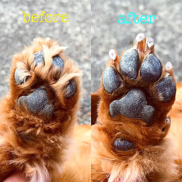 sakuさんの実例写真