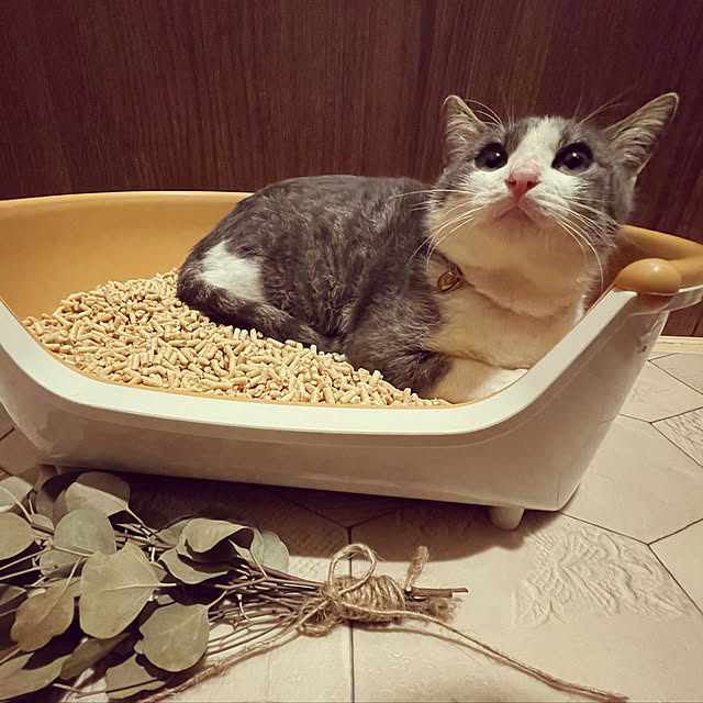 nekosamaさんの実例写真
