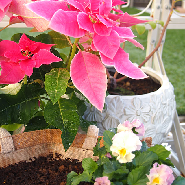 nekotaさんの部屋