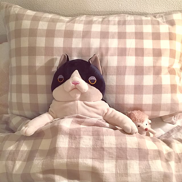 papillonさんの実例写真