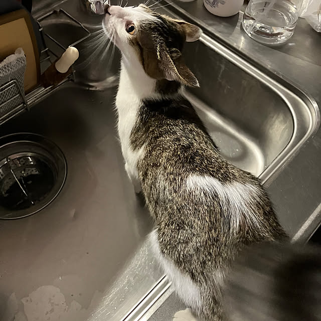 ha_koさんの部屋