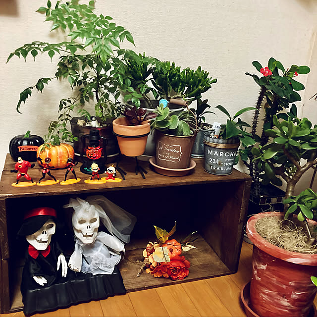 CoCo0617さんの実例写真