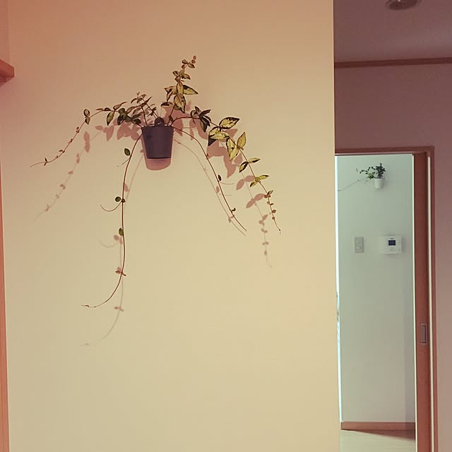 teeeemmmmmさんの実例写真