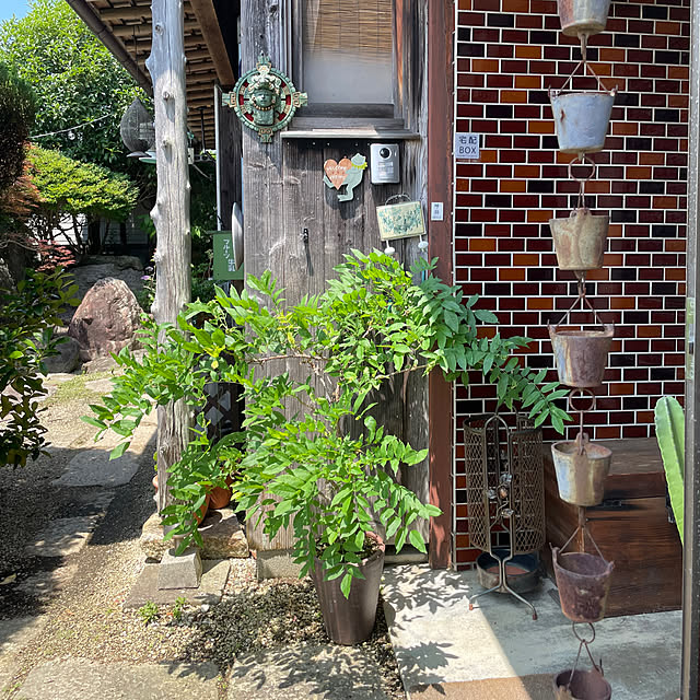 shin0719さんの部屋
