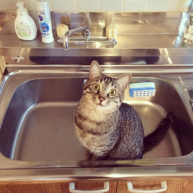 Esunoさんの実例写真